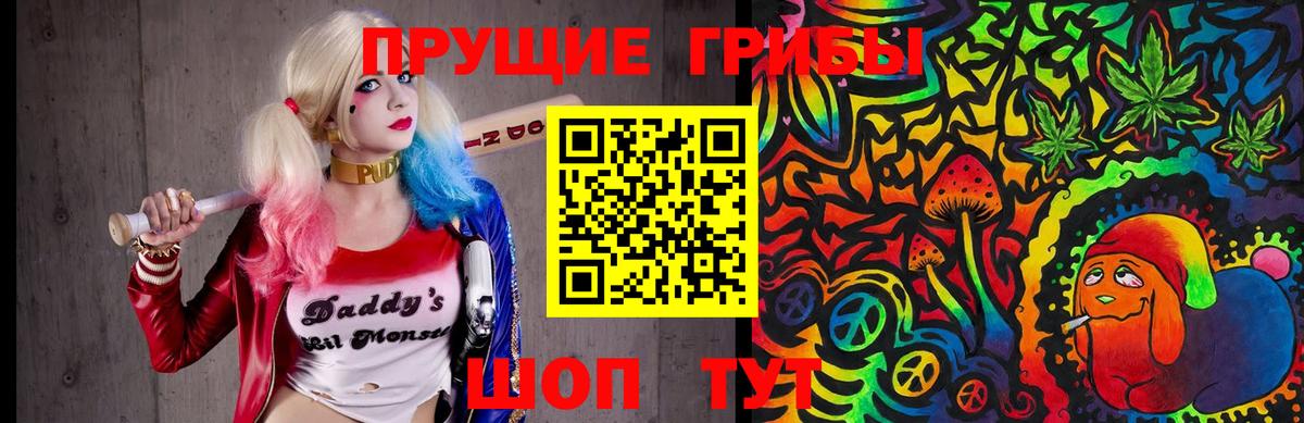 Псилоцибиновые грибы Psilocybine cubensis  Галлюциногенные грибы мухоморы  Заинск  Вход с VPN 